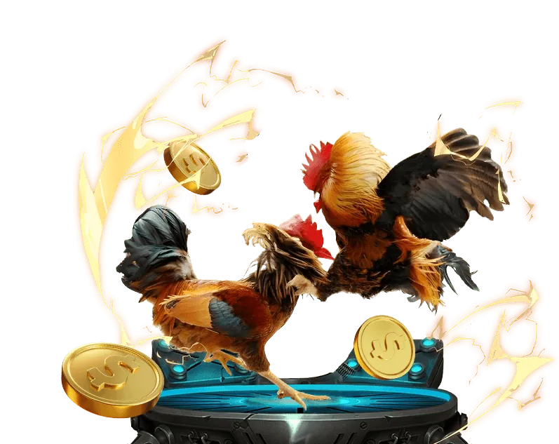 Các giải đấu đá gà kịch tính trên Win789